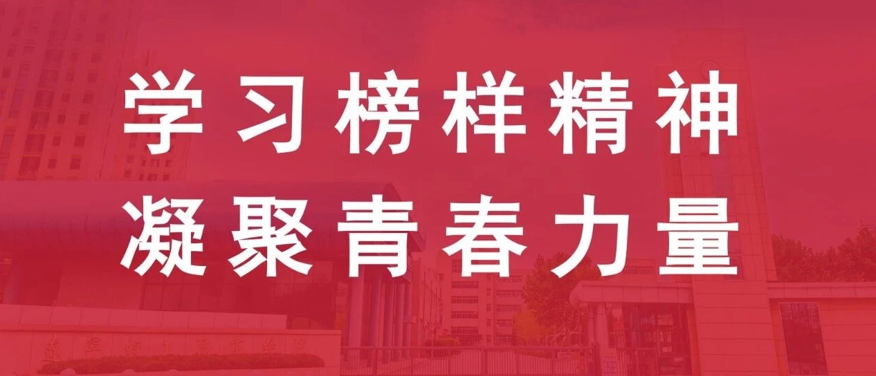 学习榜样精神 凝聚青春力量——辽宁轻工职业学院深入开展学习金城龙同志先进事迹主题团日活动